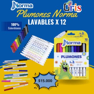 MARCADORES PLUMONES NORMA LAVABLES X 12